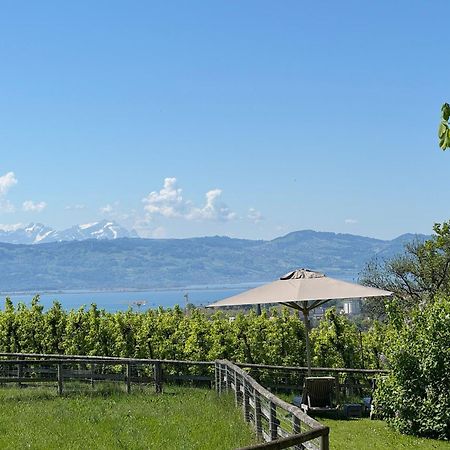 Hotel Montfort-Schloessle Lindau  Dış mekan fotoğraf