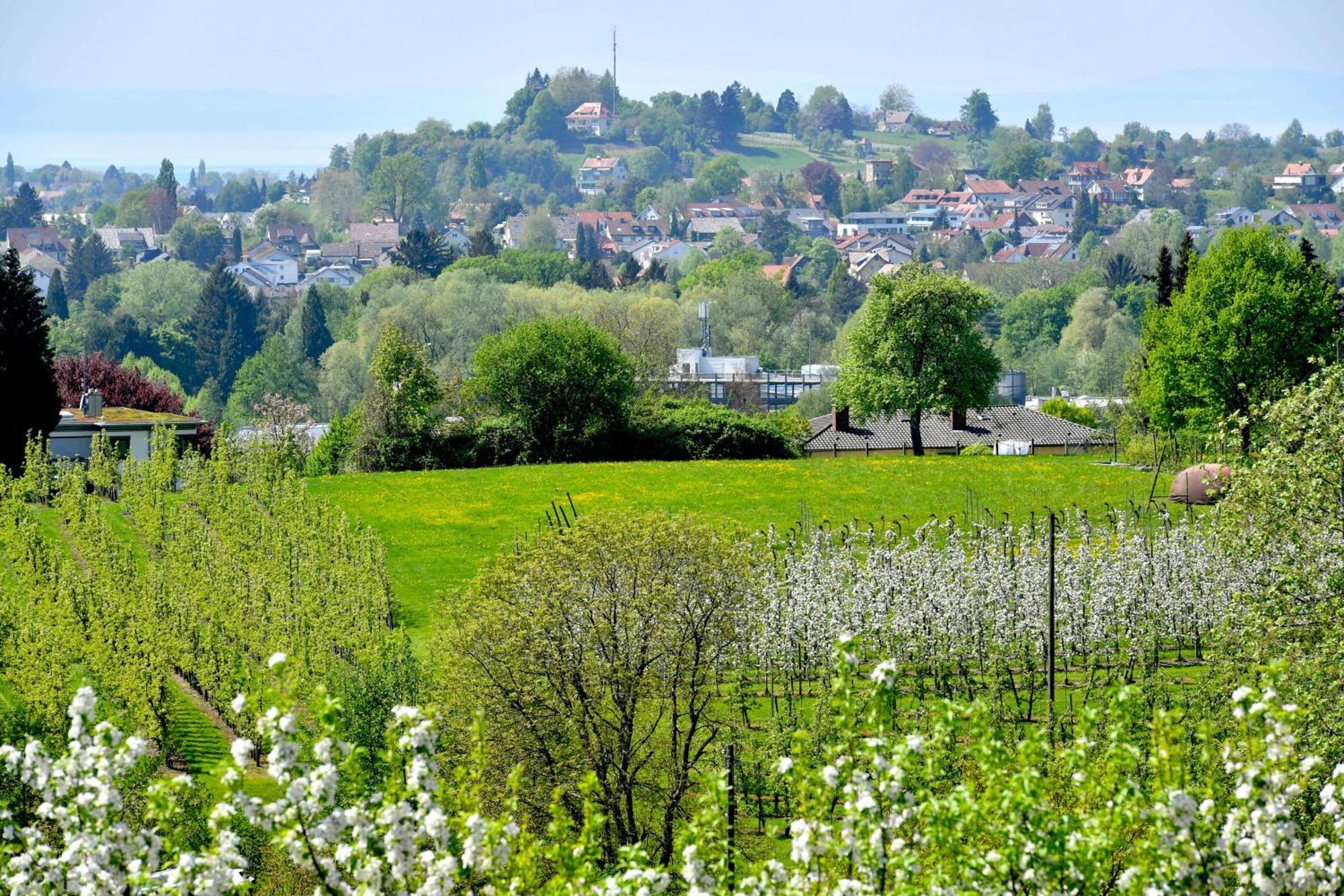 Hotel Montfort-Schloessle Lindau  Oda fotoğraf